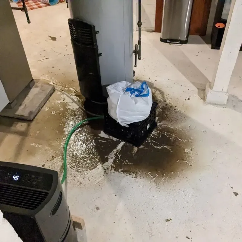 Sewage Backup Cleanup Service in Colbert, OK